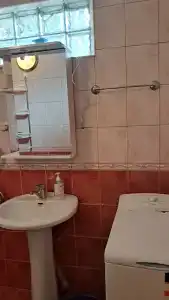 Сосна и Пальмы - 52