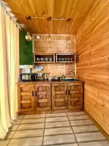 Багира - 54