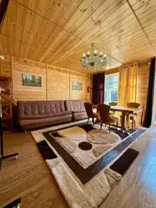 Багира - 58