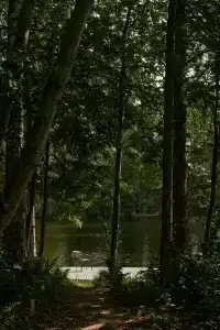 River House - 69