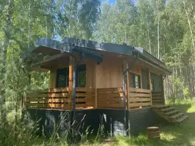 Диоген - 61