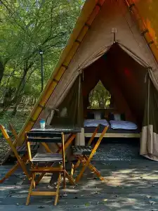 Птица в гнезде - 24
