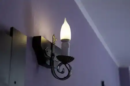Макс - 51