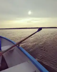 Выродово-Клуб - 32