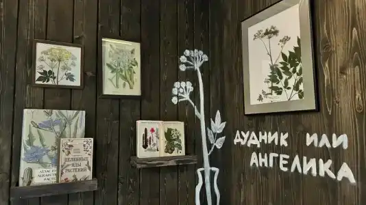 Веретьево - 203