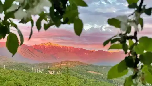 Panorama Village - 73