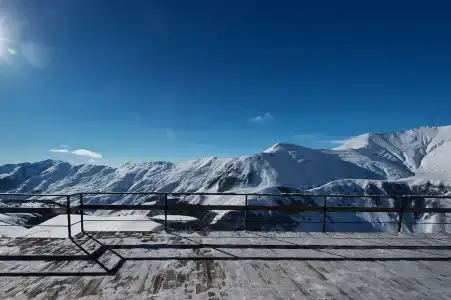 Monte - 65