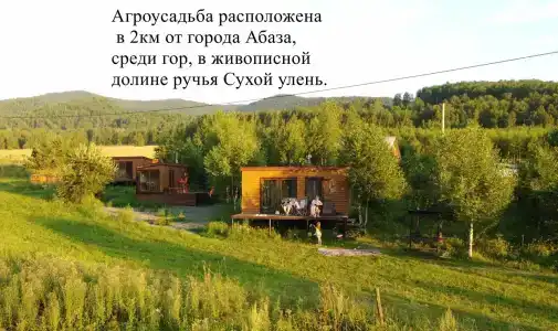 Чайное гнёздышко - 62