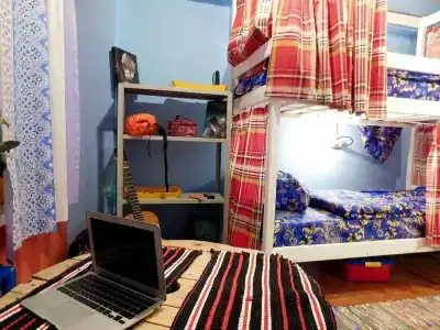 Акка Книбекайзе - 50
