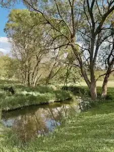 БеМе - 123