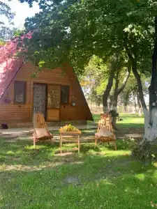 Дубовая Роща-Нечаевка - 27