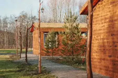 Калевалы - 80