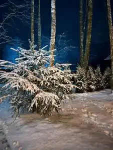 Дом для отпуска у Березы - 56