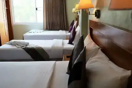 Chilli&Restaurant - 152