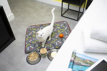 Casual Pop Art Benidorm - 57