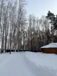 Лесная Усадьба - 64