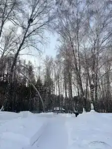 Лесная Усадьба - 60