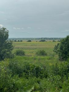 Домик в деревне - 34