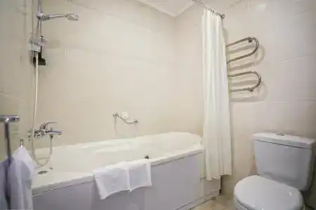 Palmira Palace Resort & SPA - 88