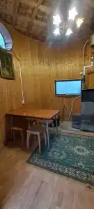 Снежный Барс - 114