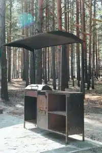 Боровое - 113