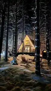 The Lagom - 110