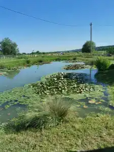 Дом для отпуска у дяди Саши - 73