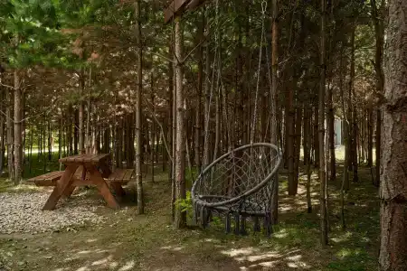 Сердце Природы - 207
