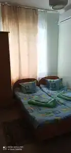 Сосновый бор - 13