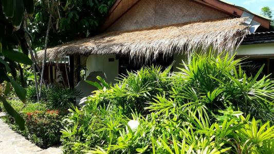 Papillon Resort - 62