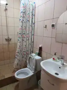 Пичуга - 69