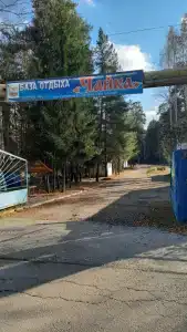 Чайка - 61
