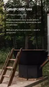 Сабадури - 53