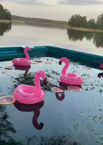 Водное пространство Муром - 57