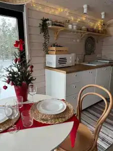 Дача в соснах - 69