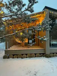 Дача в соснах - 60