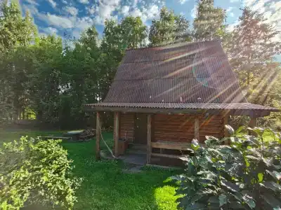 Берендеев лес - 52