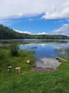 Калевалы - 94