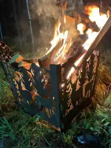 Калевалы - 55
