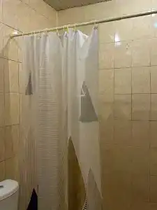 Золотой скорпион - 73
