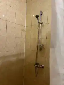 Золотой скорпион - 56