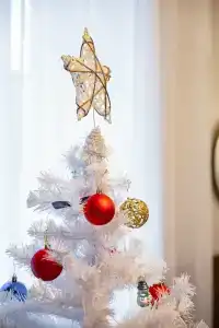 Любимый - 100