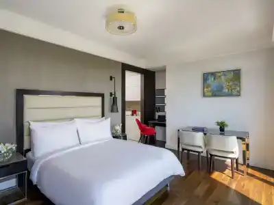 Mövenpick Istanbul Golden Horn - 100