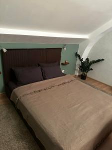 Ksanta's House - 52