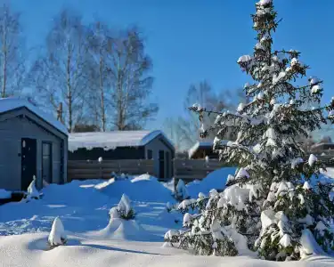 Воря Клаб - 66