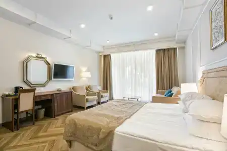 Palmira Palace Resort & SPA - 52