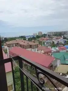 Азалия - 49