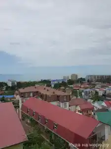 Азалия - 50
