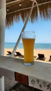 Замок грез - 260