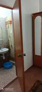 Сосновый бор - 11